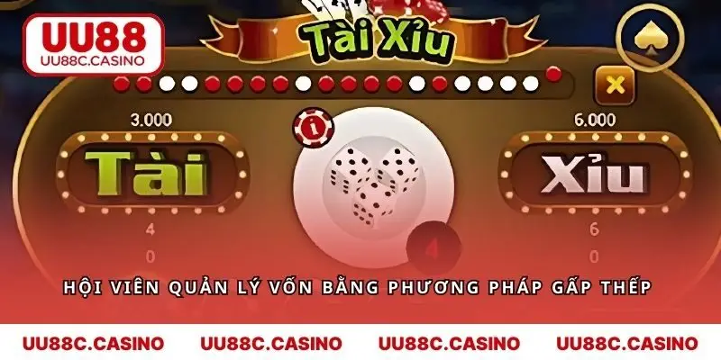 Hội viên quản lý vốn bằng phương pháp gấp thếp 